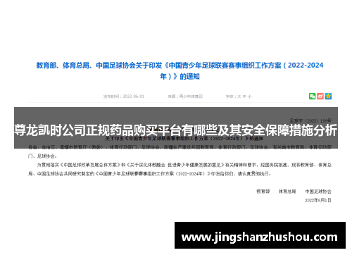 尊龙凯时公司正规药品购买平台有哪些及其安全保障措施分析
